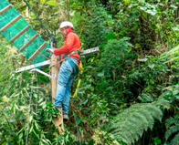 Por lo menos 155 animales silvestres han sido atropellados en Medellín durante 2025