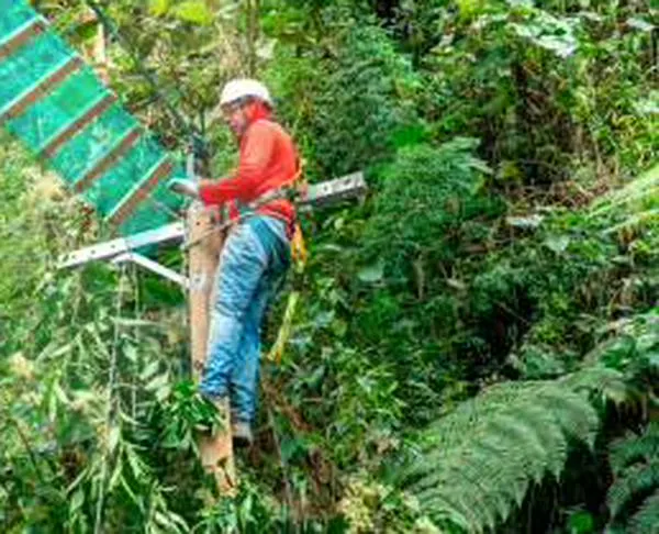 Por lo menos 155 animales silvestres han sido atropellados en Medellín durante 2025
