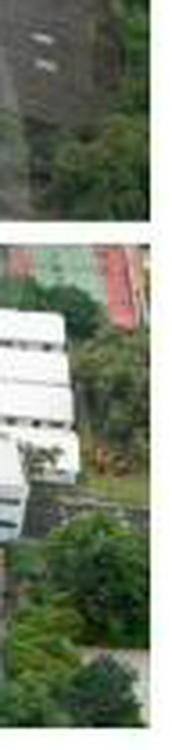 En firme primera adjudicación de obras para megacolegio de Medellín, ¿dónde quedará y cuándo estaría listo?