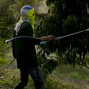 imagen nota inferior