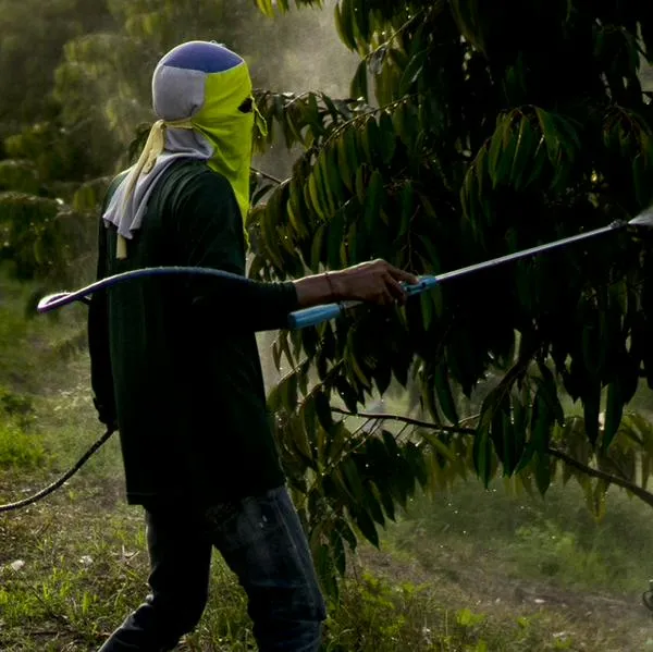 imagen principal home