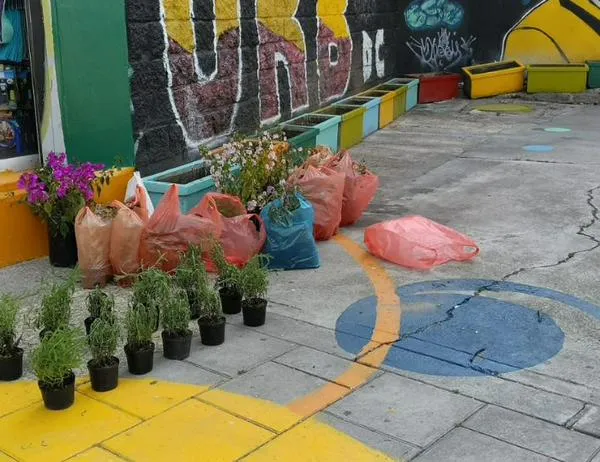 San Cristóbal impulsa acciones ambientales desde la Feria Navideña Mil Colores 