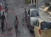 Ibagué: Judicializan a hombre que agredió a canina criolla en 2024 