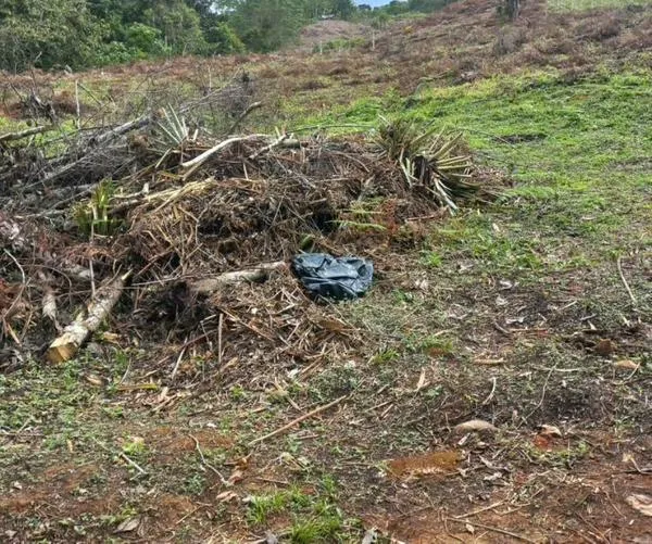 ¿Qué pasa con la supuesta venta de predios en La Cumbre? Autoridades responden