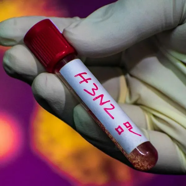 imagen principal home