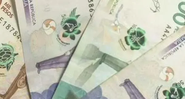 Duplicaron beneficiarios de Colombia Mayor en Valledupar: consulte si fue favorecido