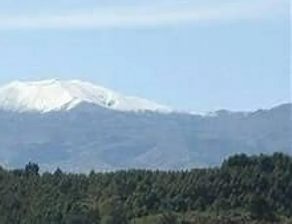 Volcán Puracé emite columnas de ceniza de 500 metros y sigue en alerta