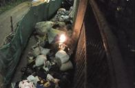 Video: globo navideño provoca incendio en una recuperadora de reciclaje en Villamaría 