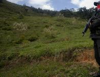 Desplazados en Navidad: 250 campesinos huyen en Colombia de choques entre el ELN y disidencias FARC