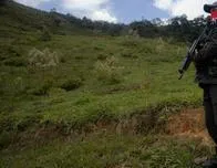 Desplazados en Navidad: 250 campesinos huyen en Colombia de choques entre el ELN y disidencias FARC