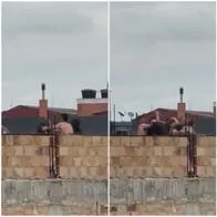 Riña familiar en Bogotá este 25 de diciembre: video de pelea grabada por vecinos