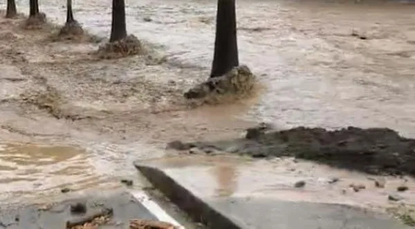 Una persona fallecida y múltiples afectaciones dejan las intensas lluvias en municipios del Valle