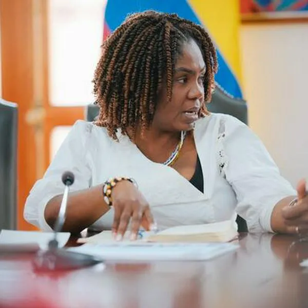 Francia Márquez pide “apoyo humanitario inmediato” en Catatumbo por guerra ELN vs. Frente 33