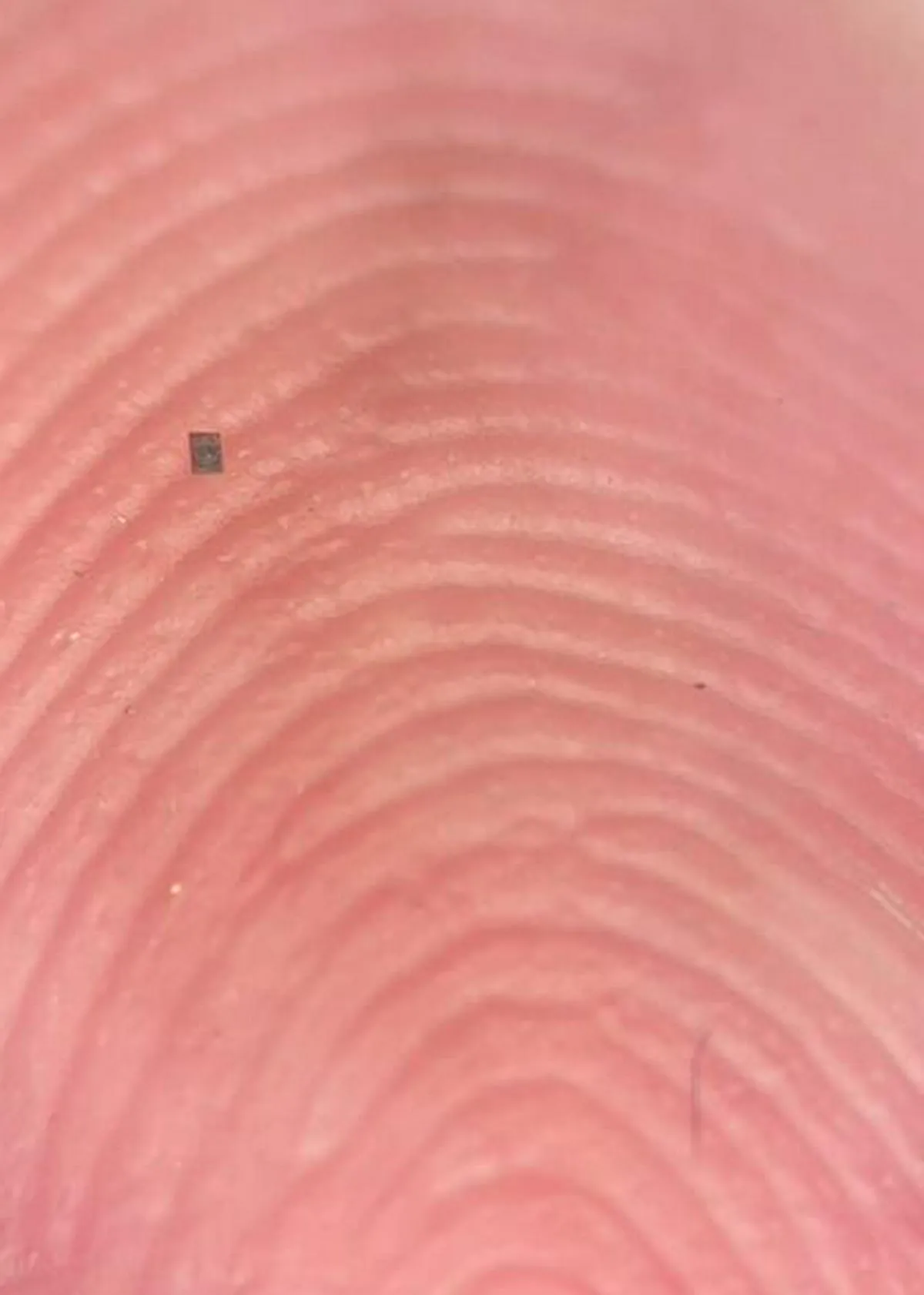 Imagen representativa del artículo