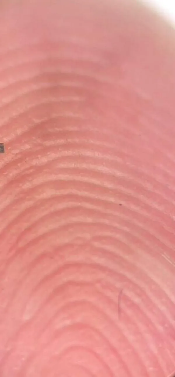 Este es el robot autónomo y programable más pequeño del mundo, ¿cuánto mide?