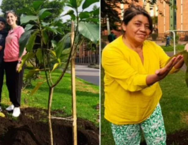 Ciudad Salitre renaturaliza sus alamedas y orejas vehiculares 