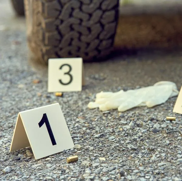 Imagen de referencia