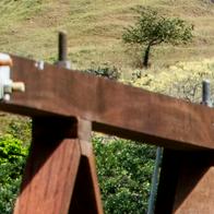 El Puente de Occidente, la primera obra paisa que podría ser Patrimonio de la Humanidad