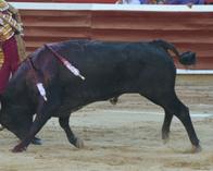 Feria de Cali: fiasco en la segunda corrida con los toros de Campo Real; única oreja, para Joaquín Galdós