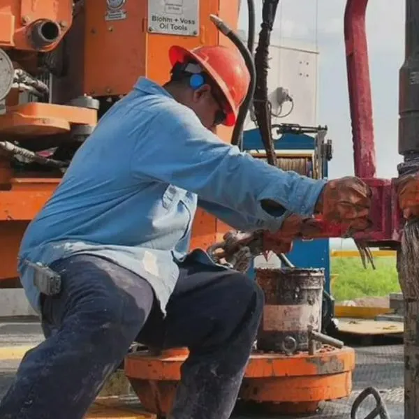 ¿Qué nos dejaron los científicos en 2025?