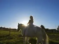 Niña de 4 años cayó de un caballo en un restaurante del Valle y murió