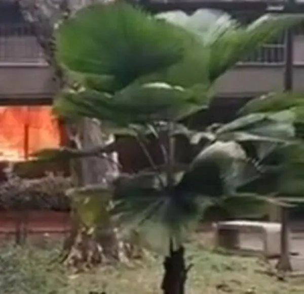 Procuraduría investigará casos de acoso sexual en el Politécnico Jaime Isaza Cadavid 