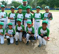 Liga de Béisbol de Risaralda, cierra actividades del 2025