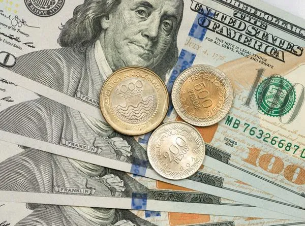 imagen principal home