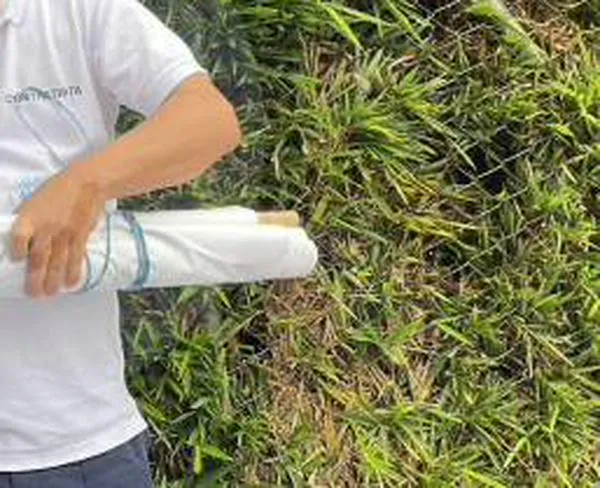 Se afanaron: en Medellín desmontaron propaganda electoral no autorizada de candidatos al Congreso