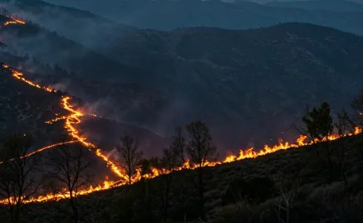 Incendios forestales: se subestima su impacto en la calidad del aire y la salud pública, según nuevo estudio