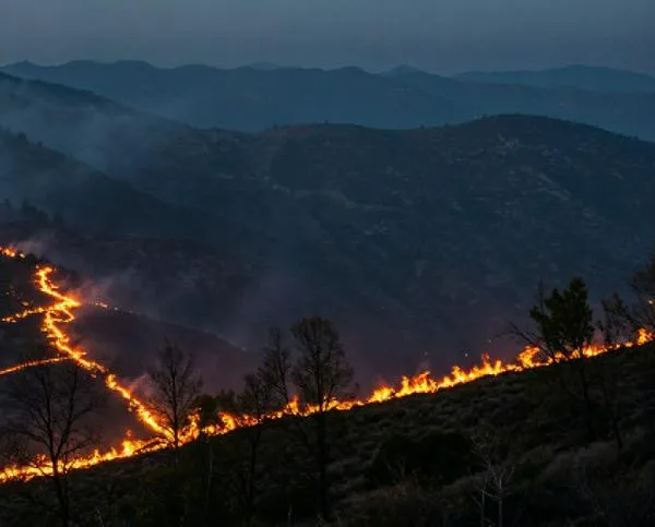 Incendios forestales: se subestima su impacto en la calidad del aire y la salud pública, según nuevo estudio