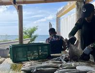 Los pescadores colombianos temen por su vida ante los bombardeos estadounidenses