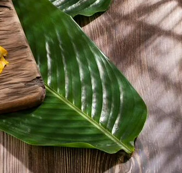 Receta para Año Nuevo: pasteles en hoja