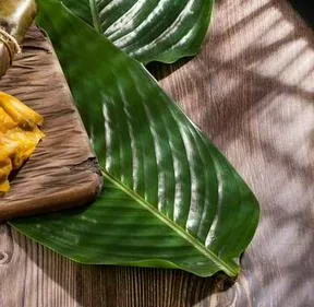 Imagen representativa del artículo