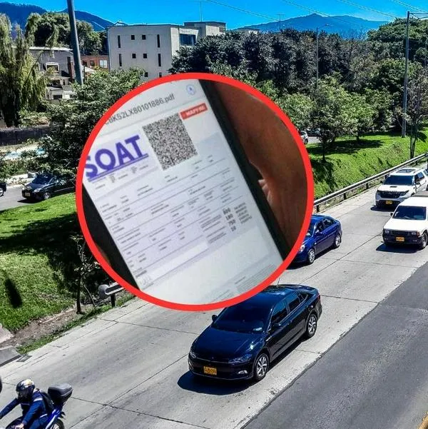 Publican tarifas oficiales del Soat 2026 para carros motos, camionetas y más