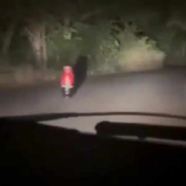 Alertan por posible presencia de cilindro bomba en vía de Tolima