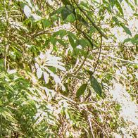 Más de 200 mil visitantes llegaron al Valle del Cauca en temporada decembrina