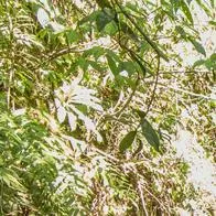 Más de 200 mil visitantes llegaron al Valle del Cauca en temporada decembrina