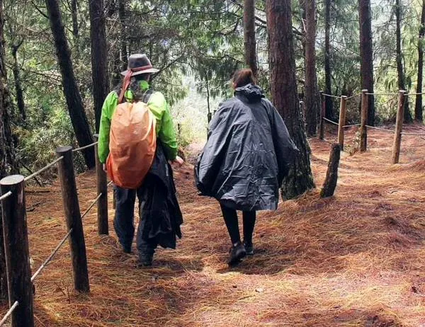 Recomendaciones para evitar incendios forestales en Cerros Orientales y humedales de Bogotá 