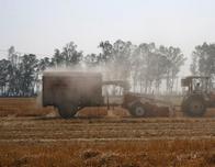 India espera un enero más frío que el promedio, impulsando los cultivos de invierno