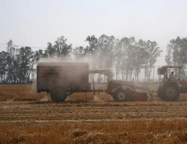 India espera un enero más frío que el promedio, impulsando los cultivos de invierno
