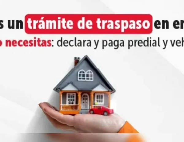 Predial y vehículos en Bogotá: guía para declarar y pagar en enero por trámites 