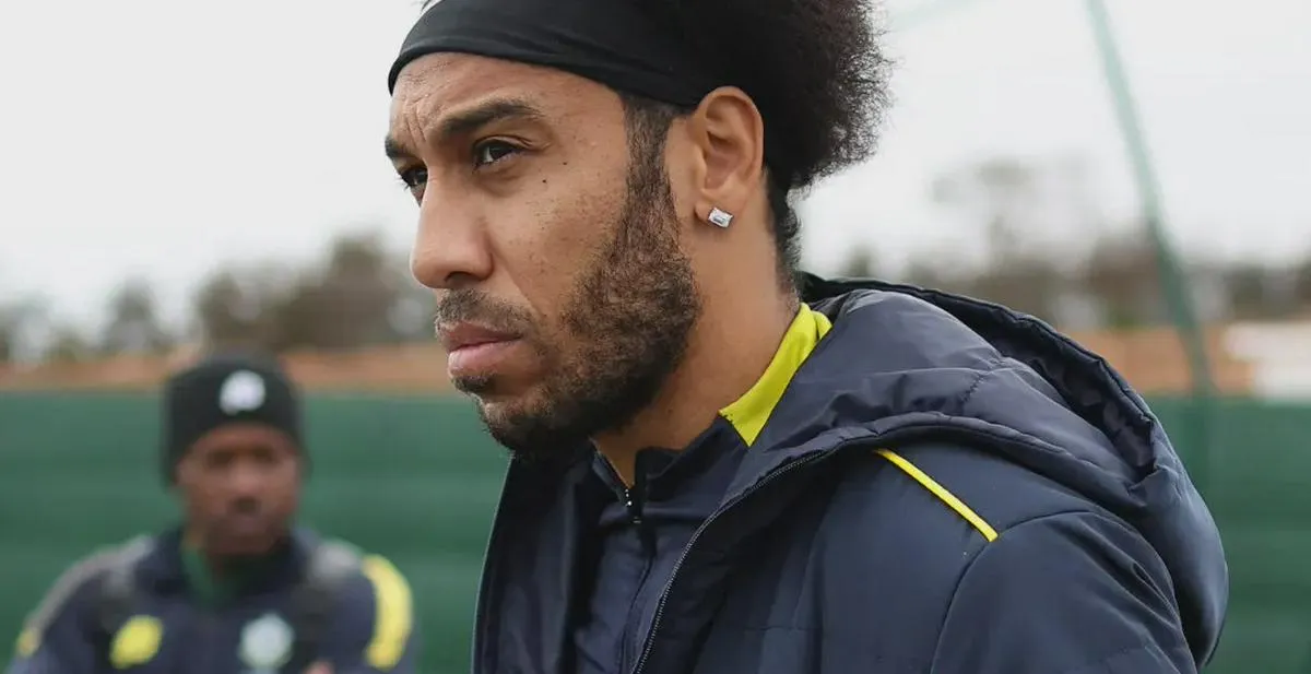 Imagen representativa del artículo