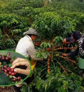 Imagen representativa del artículo