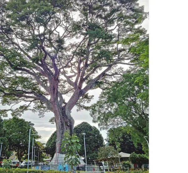 Victoria (Caldas): alcalde destaca obras y promete mejoras en salud y vías rurales
