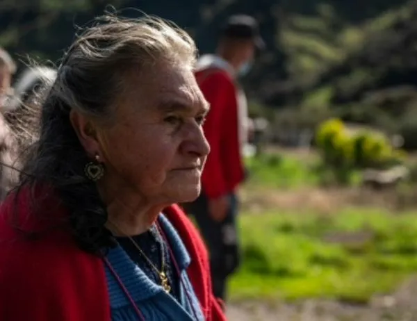 Fondos de Desarrollo Local, claves para fortalecer el Ingreso Mínimo Garantizado en Bogotá 