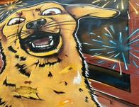 Pólvora en Bogotá durante diciembre provocó miedo en cerca de 1.000 animales según reportes  