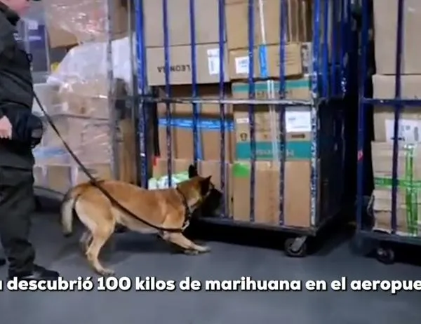 Gracias al olfato de 'Kira', la Policía incautó 100 kilos de marihuana en el aeropuerto El Dorado de Bogotá 