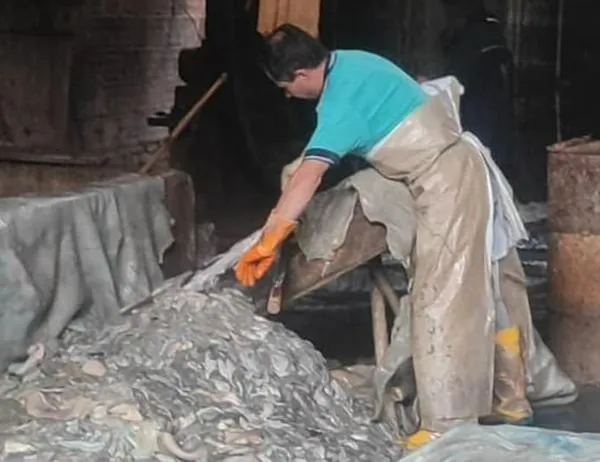 Autoridades frenan descargas contaminantes de una curtiembre sobre el río Bogotá  