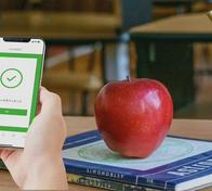 Este es el enlace para agendar cita y acceder a cupos escolares 2026 en colegios públicos de Bogotá